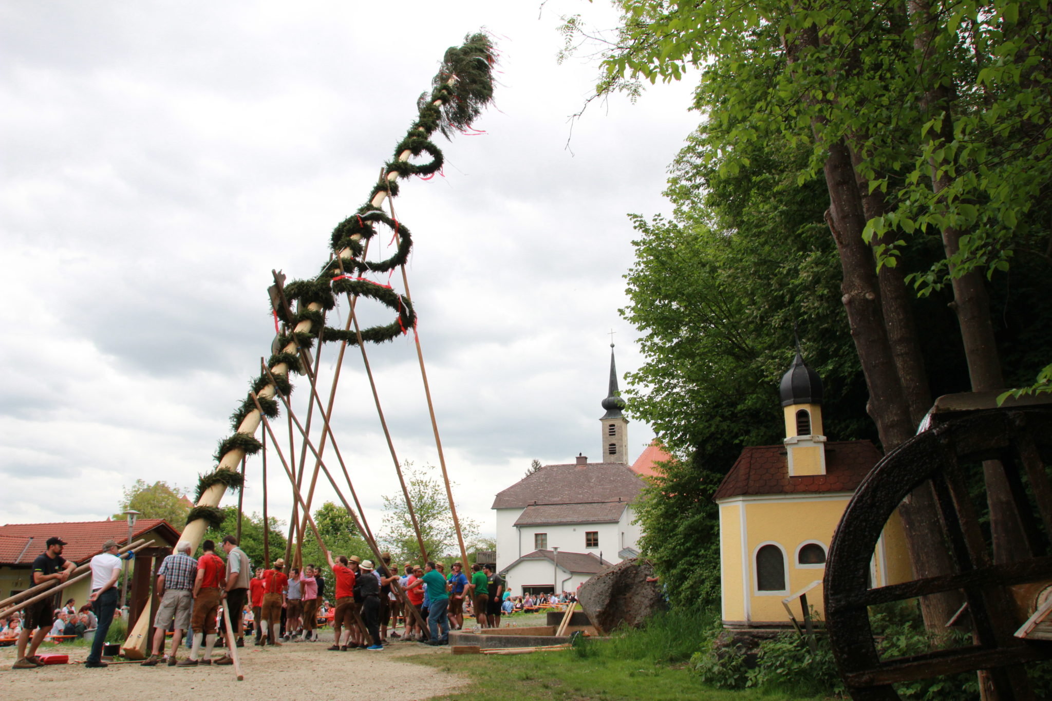 » Maibaum